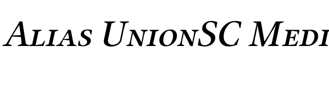 Alias UnionSC Medium Italic font preview