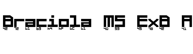 Braciola MS ExB Ascii font preview