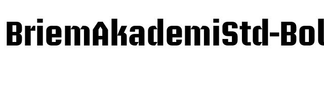 BriemAkademiStd-Bold font preview