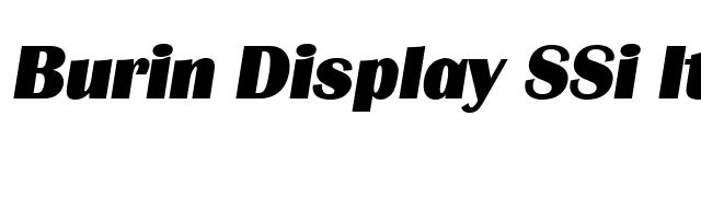 Burin Display SSi Italic font preview