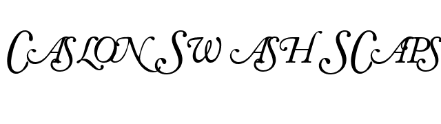 CaslonSwashSCapsSSK Italic font preview