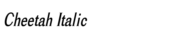 Cheetah Italic font preview