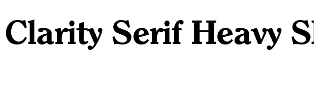 Clarity Serif Heavy SF Bold font preview