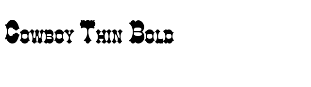 Cowboy Thin Bold font preview