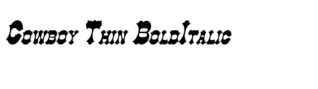 Cowboy Thin BoldItalic font preview