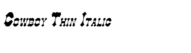 Cowboy Thin Italic font preview