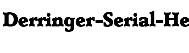 Derringer-Serial-Heavy-Regular font preview