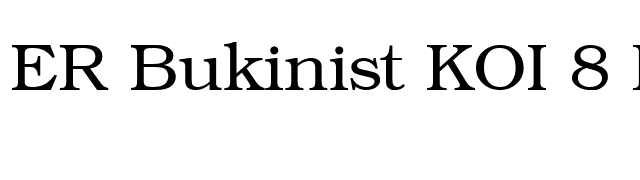 ER Bukinist KOI 8 Normal font preview