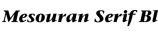 Mesouran Serif Black SSi Bold Italic font preview