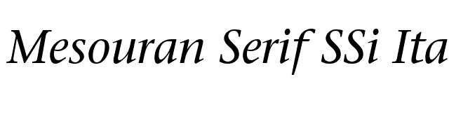 Mesouran Serif SSi Italic font preview