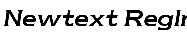 Newtext Reglr Italic font preview