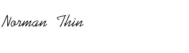 Norman Thin font preview