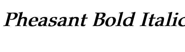 Pheasant Bold Italic font preview