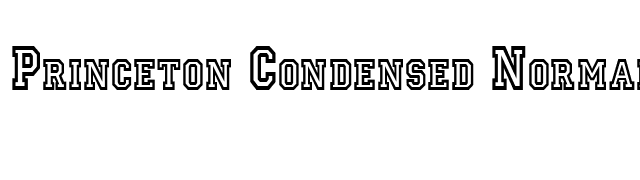 Princeton Condensed Normal font preview