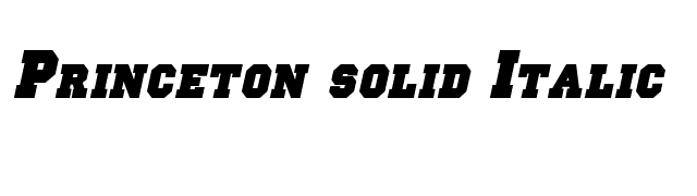 Princeton solid Italic font preview