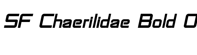 SF Chaerilidae Bold Oblique font preview