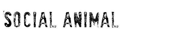 SociaL AnimaL font preview