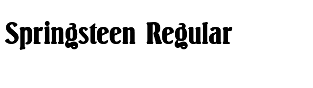 Springsteen Regular font preview