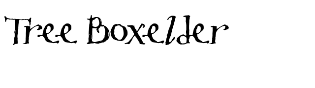 Tree Boxelder font preview