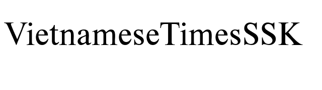 VietnameseTimesSSK font preview