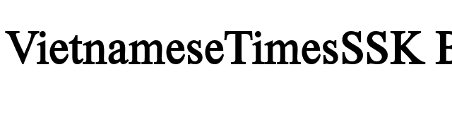 VietnameseTimesSSK Bold font preview