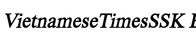 VietnameseTimesSSK BoldItalic font preview