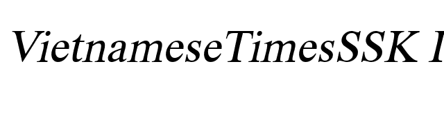 VietnameseTimesSSK Italic font preview